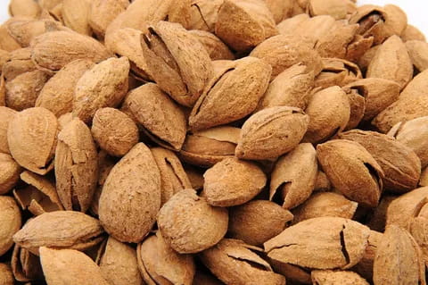 تصویر 1 از بادام درختی با پوست تازه و مخصوص مجالس پذیرایی عید